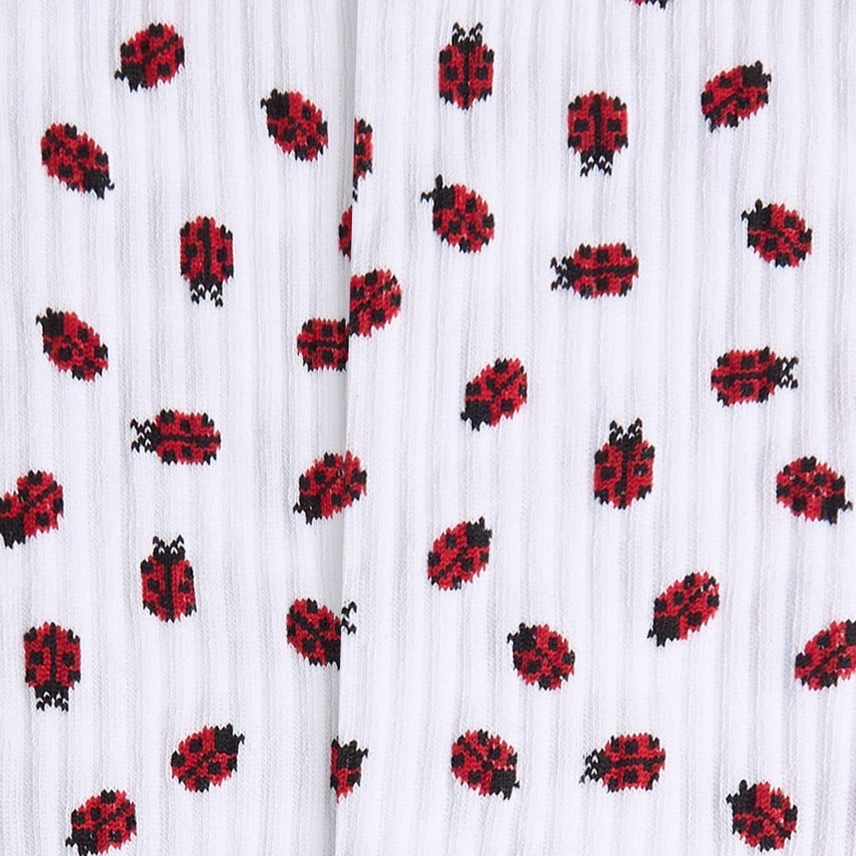 Athletic Ladybug - White