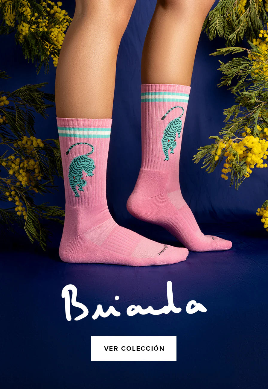 Brianda x Jimmy Lion