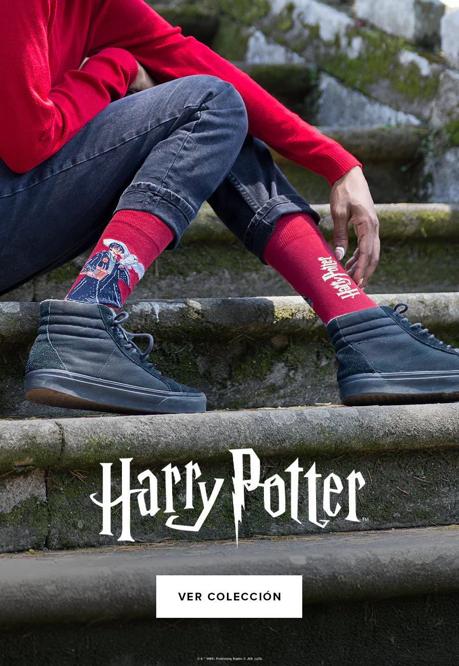 Harry Potter x Jimmy Lion