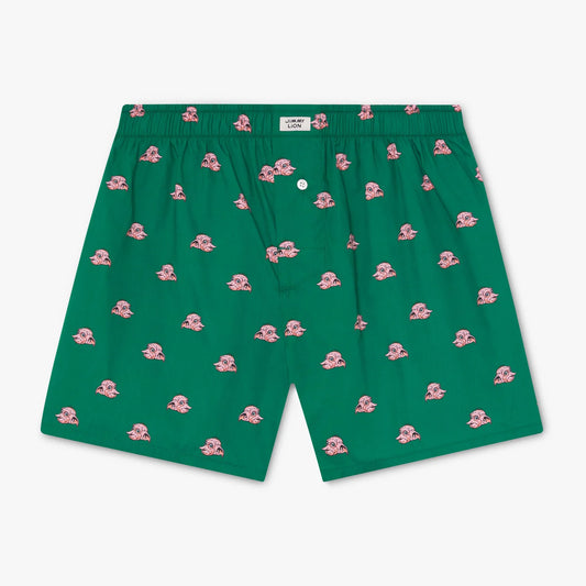 Harry Potter Dobby Boxer Shorts - Green