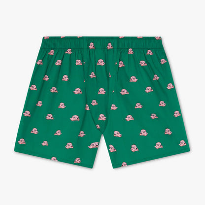 Harry Potter Dobby Boxer Shorts - Green