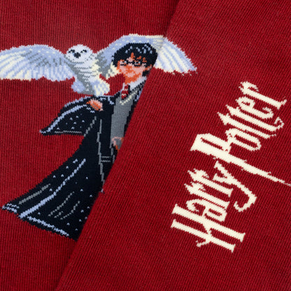 Harry Potter The Boy Who Lived Socks - Burgundy