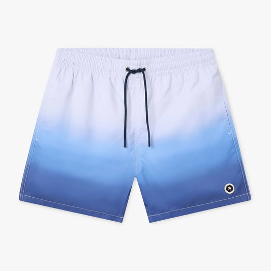 Horizon Swim Shorts - Blue