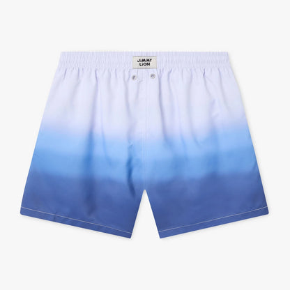 Horizon Swim Shorts - Blue