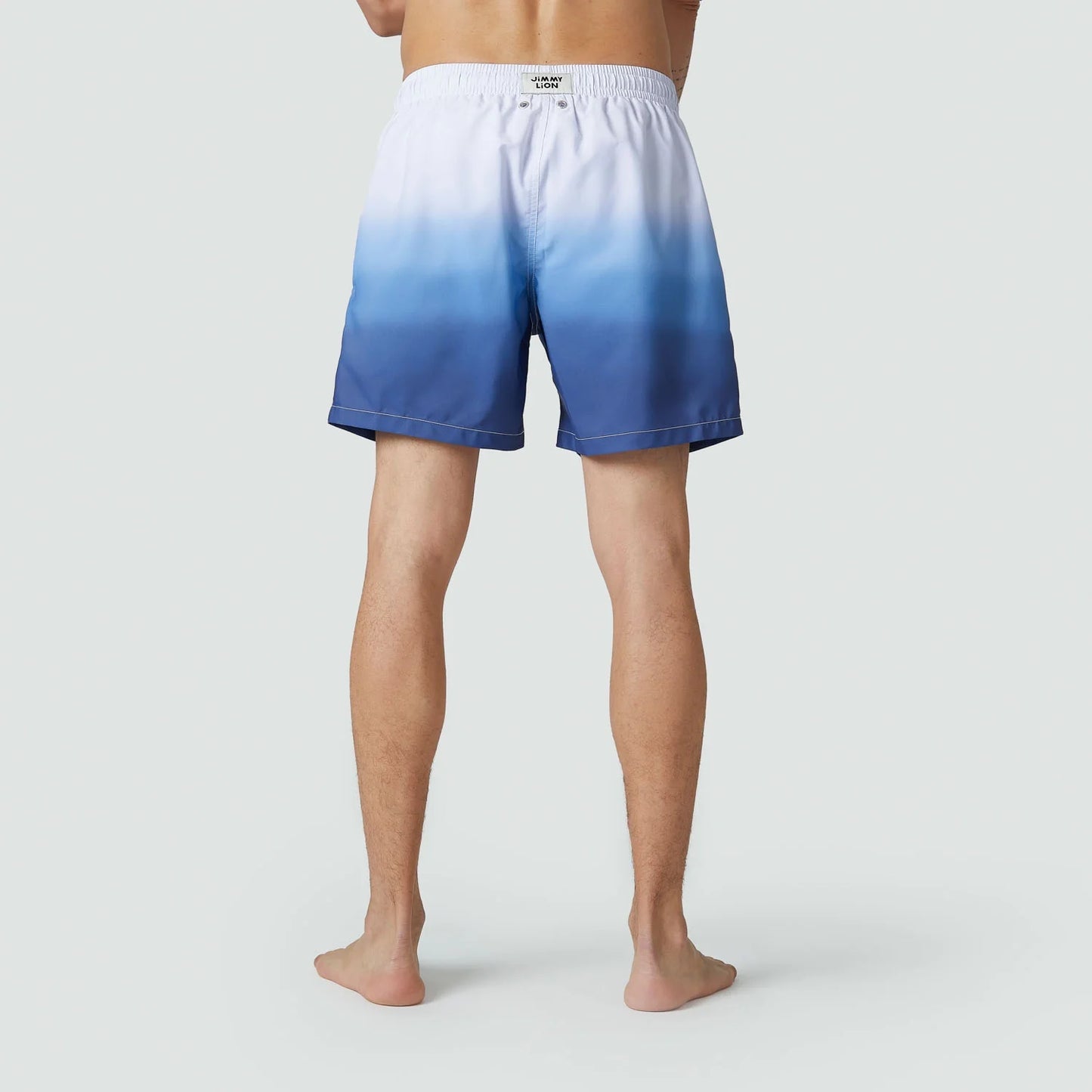 Horizon Swim Shorts - Blue