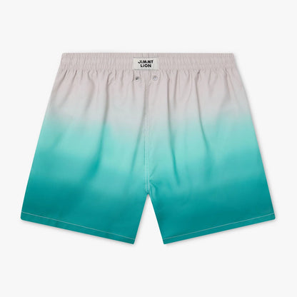 Horizon Swim Shorts - Green