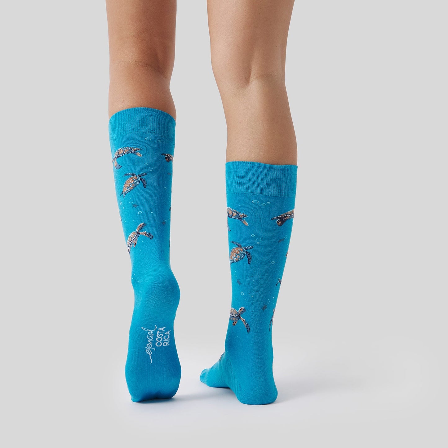 Pura Vida Hawksbill Turtle - Turquesa