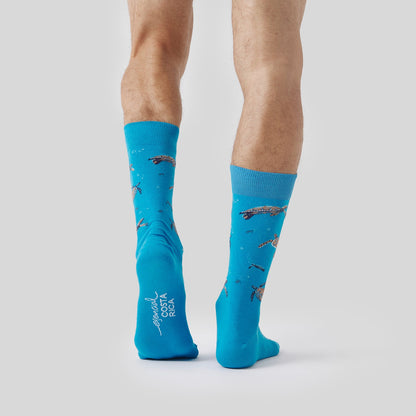 Pura Vida Hawksbill Turtle - Turquesa