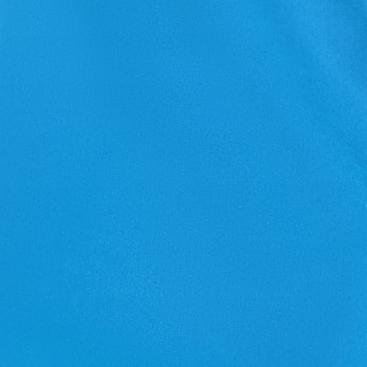 Lion Essentials Swim Shorts - Azure