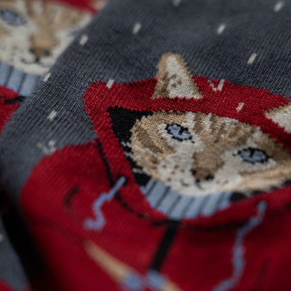 Raining Cat - Grey (3)