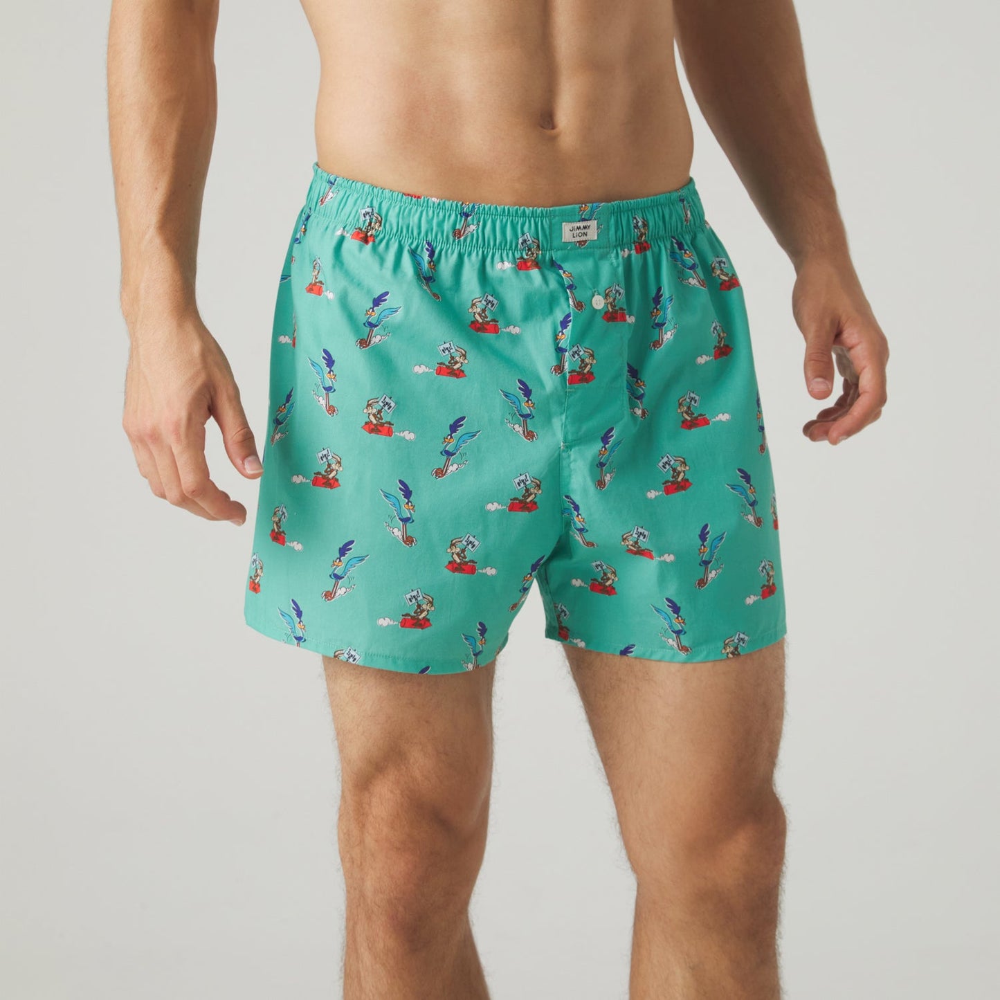 Road Runner vs Coyote Boxer Shorts - Sage Green