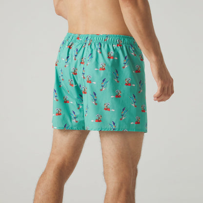 Road Runner vs Coyote Boxer Shorts - Sage Green