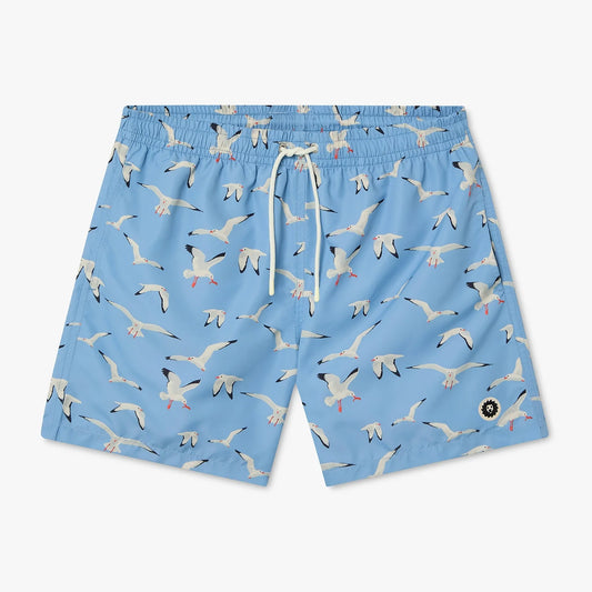 Seagulls Swim Shorts - Sky Blue
