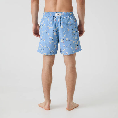 Seagulls Swim Shorts - Sky Blue