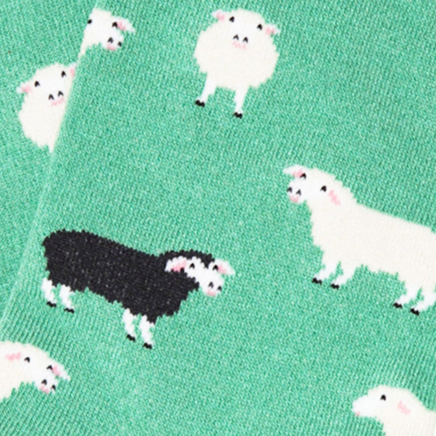 Ankle Black Sheep - Turquoise (3)